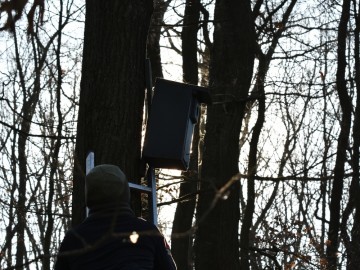 Czyszczenie budek lęgowych na terenie Parku Krajobrazowego Wzniesień Łódzkich, 